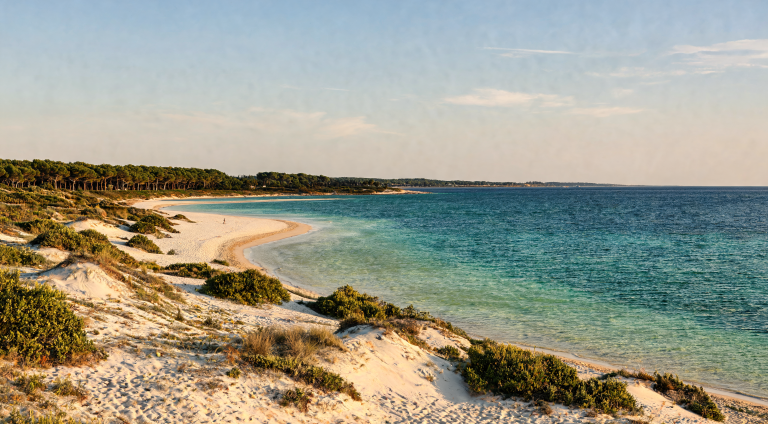 Shallow turquoise water and fine white sand beach on Salento's Ionian coast near Pescoluse, with Mediterranean pine scrub in the background